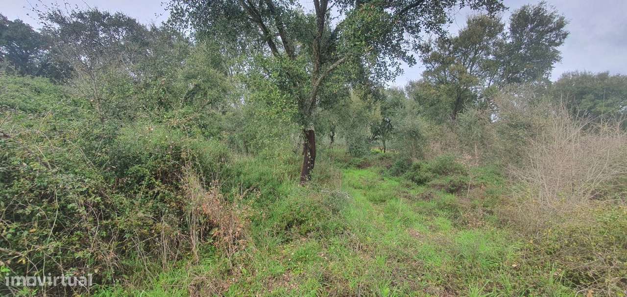 Terreno rústico com 2520 m2, construção rural e poço - Grande imagem: 2/15