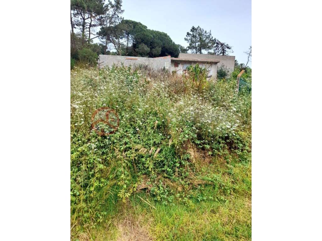 Terreno para construção de moradia - Grande imagem: 2/3