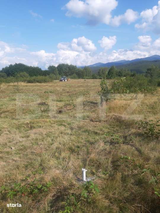 Teren extravilan 3300 mp, Cartisoara- Set - Imagine principală: 4/9