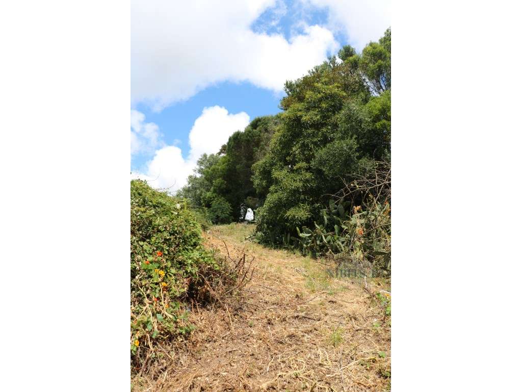À VENDA: Lote com vista mar em Malveira da Serra - localização elev...-18