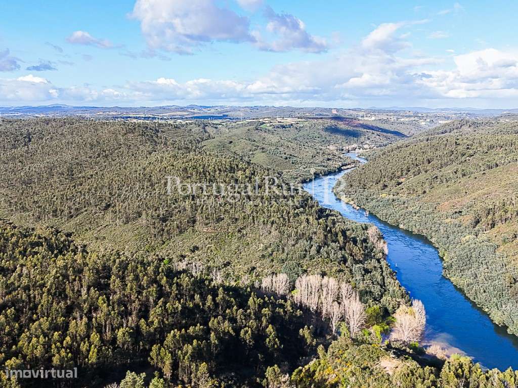 Herdade com 227 ha junto à Albufeira de Castelo de Bode - Grande imagem: 3/47