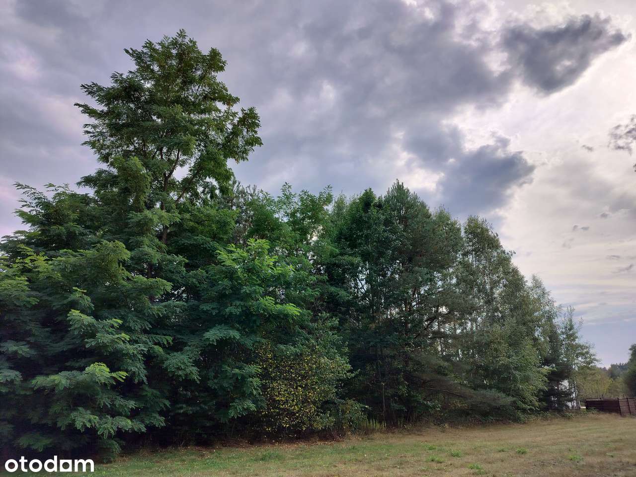 Bezpośrednio piękna działka 2000m2 Strzeniówka - Pełny obrazek: 4/12