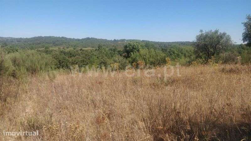 Terreno Rústico / Fundão, Capinha - Grande imagem: 2/2