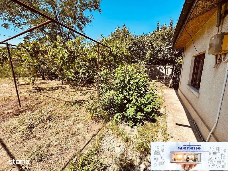 Teren si casa Str. Lozoveni!-6