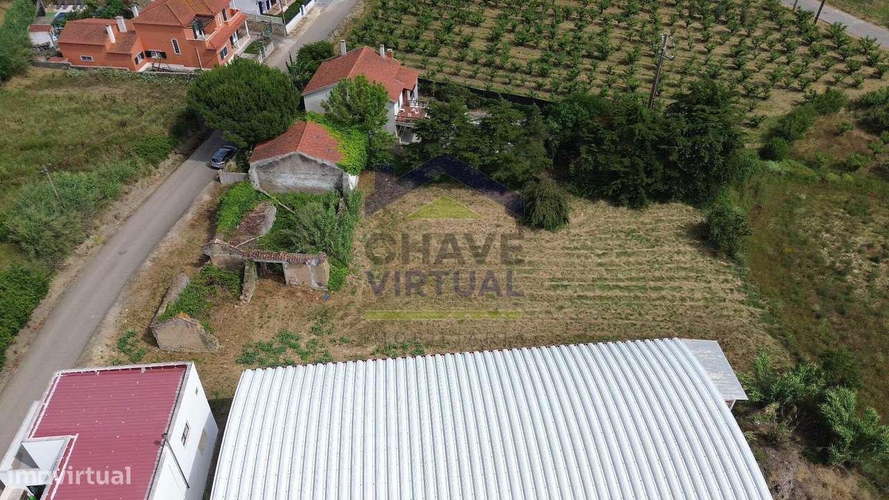 Terreno para Construção Delgada - Bombarral-16