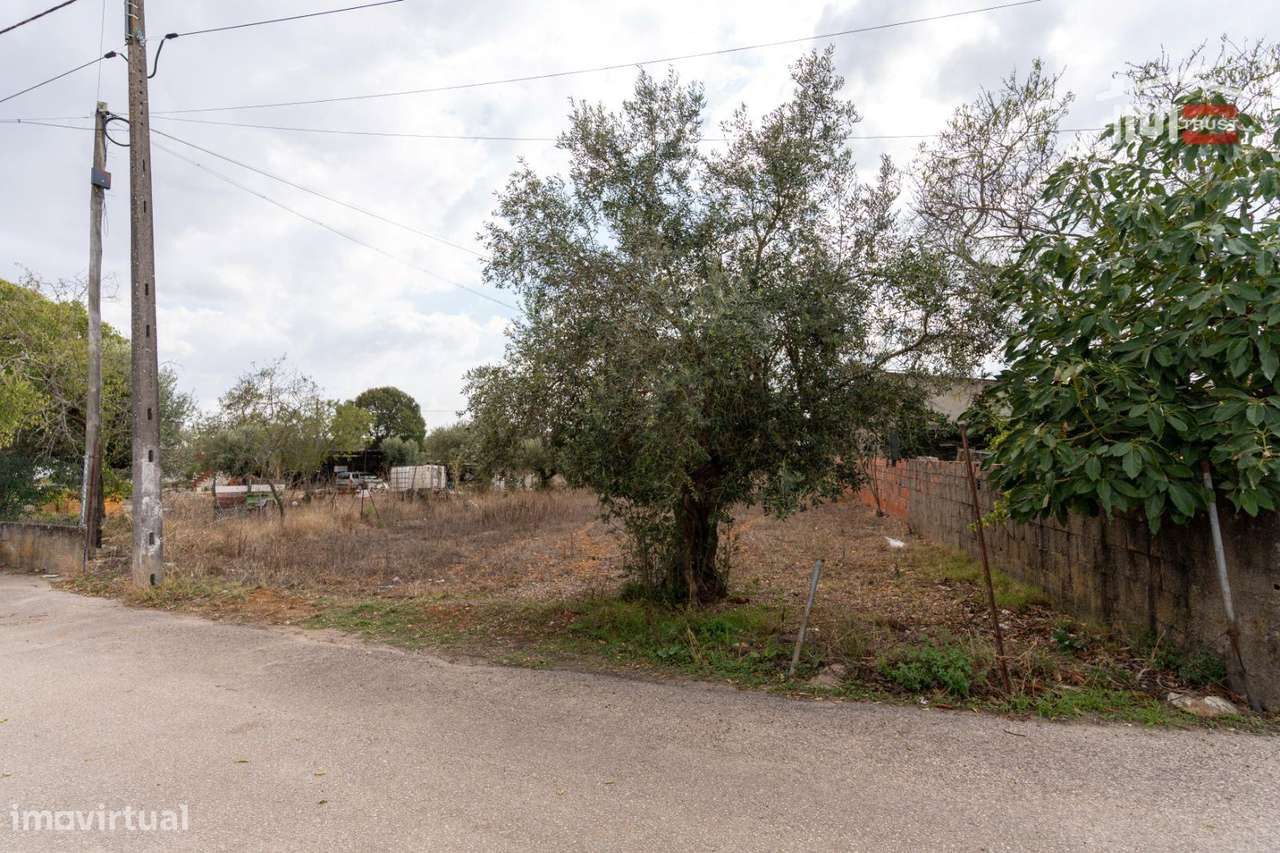 Excelente Oportunidade   Excelente Oportunidade de Investimento em... - Grande imagem: 4/18