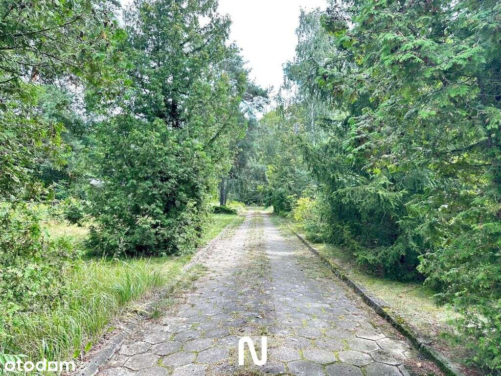 Wyjątkowy teren w doskonałej lokalizacji!-18
