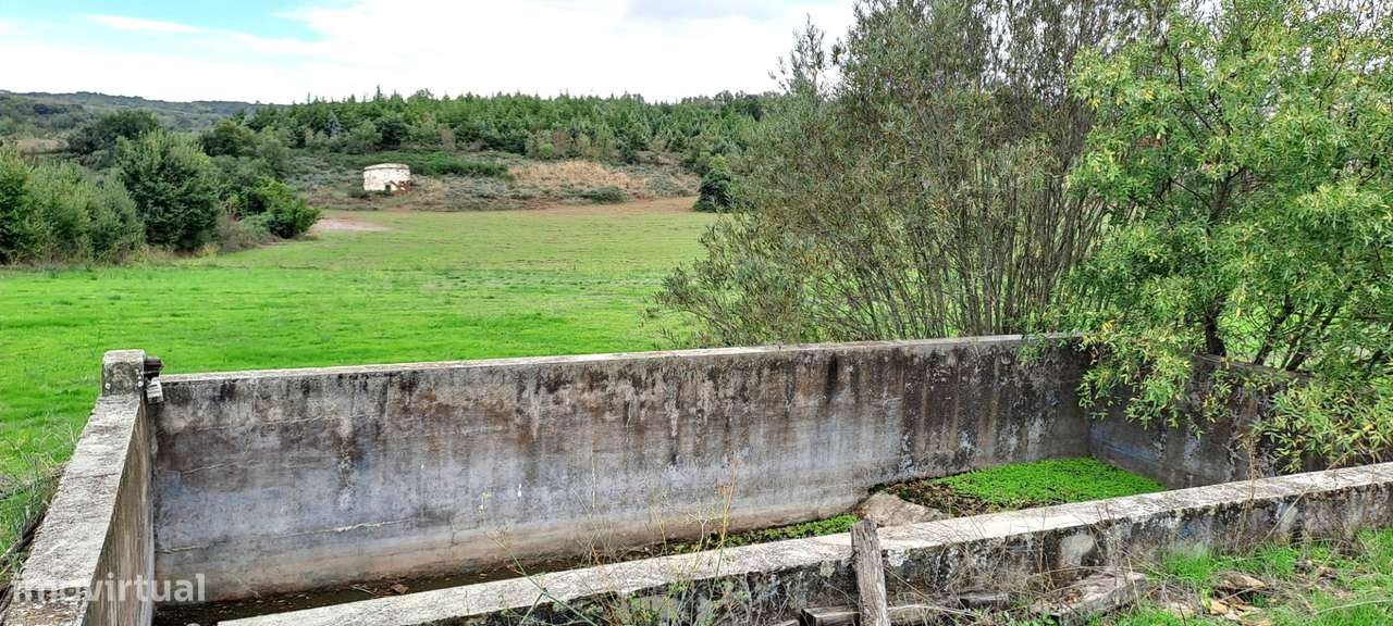 Quinta em Travanca, Mogadouro-59