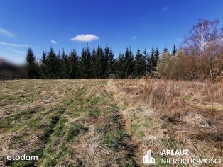 Atrakcyjne działki z widokiem na góry w Łomnicy