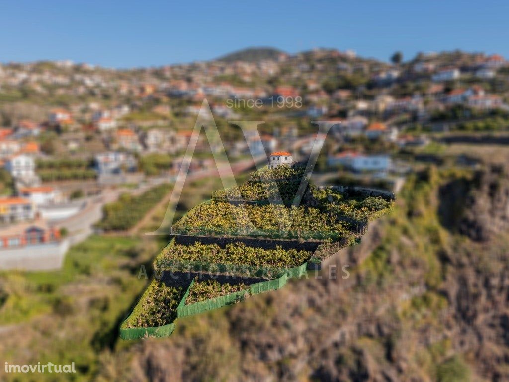 Terreno com Casa - Ribeira Brava