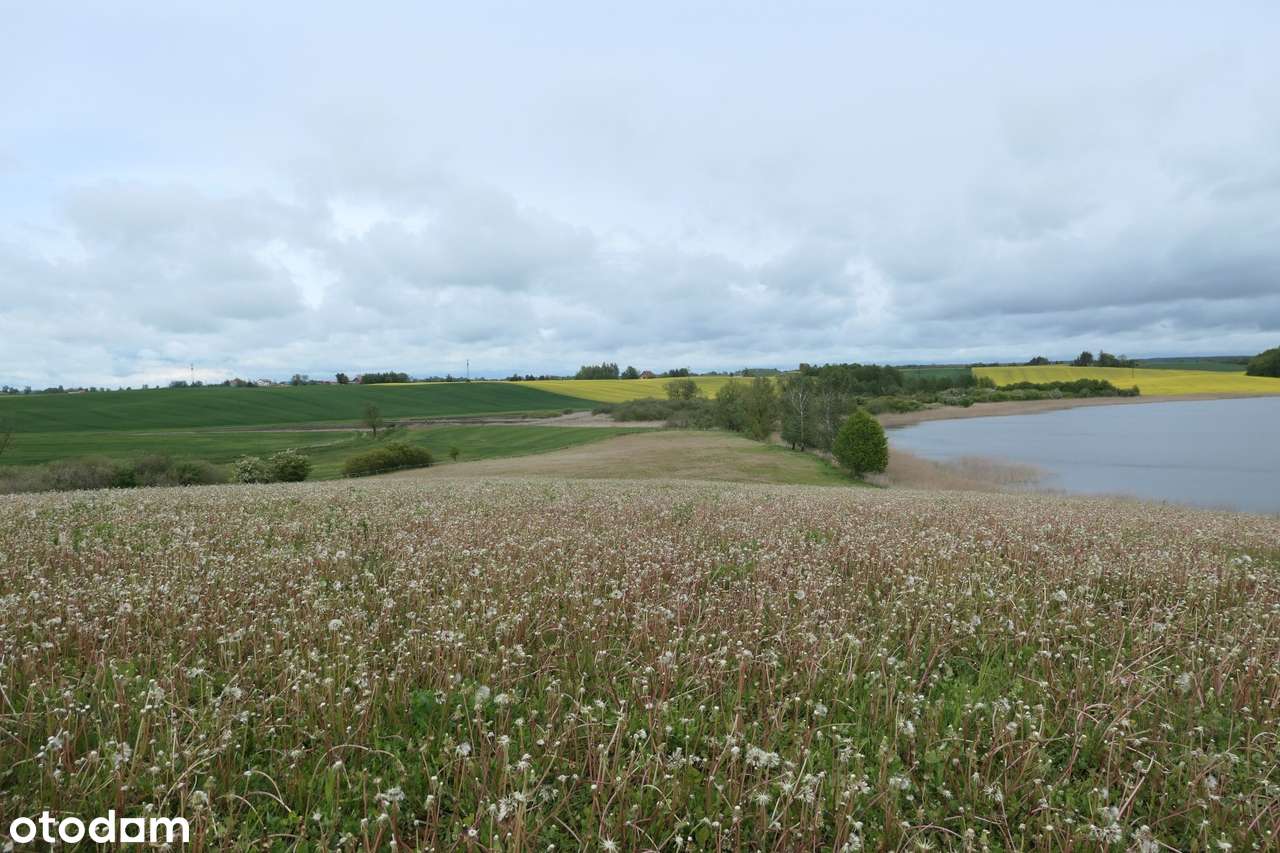 Działka nad jeziorem w okolicach Prabut - Pełny obrazek: 2/15