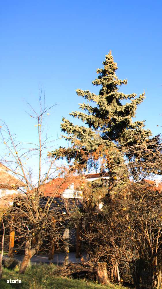 Locul în care visul tău prinde contur, teren 452 mp-7