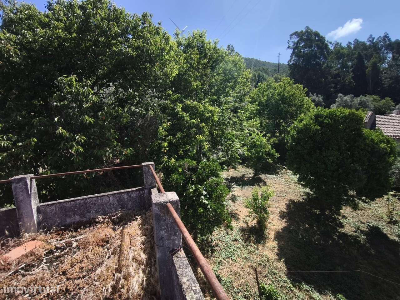 Moradia para recuperar em Casal de Santo Amaro - Penacova - Grande imagem: 3/20