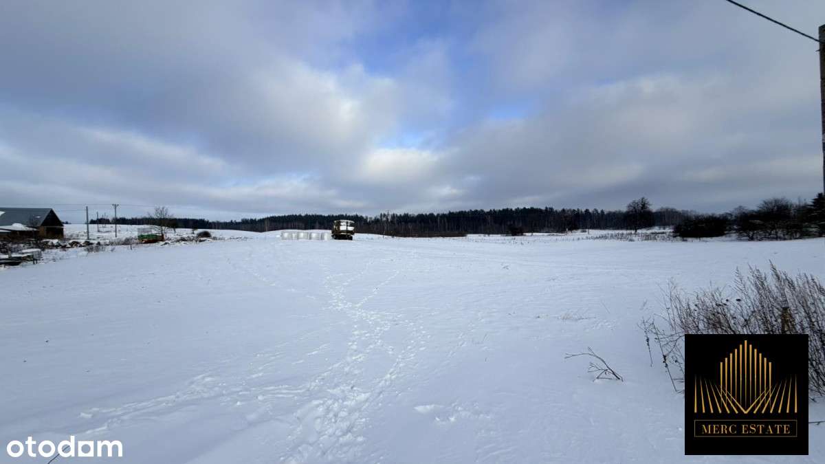 Działka z WZ w Borkach wielkich-6