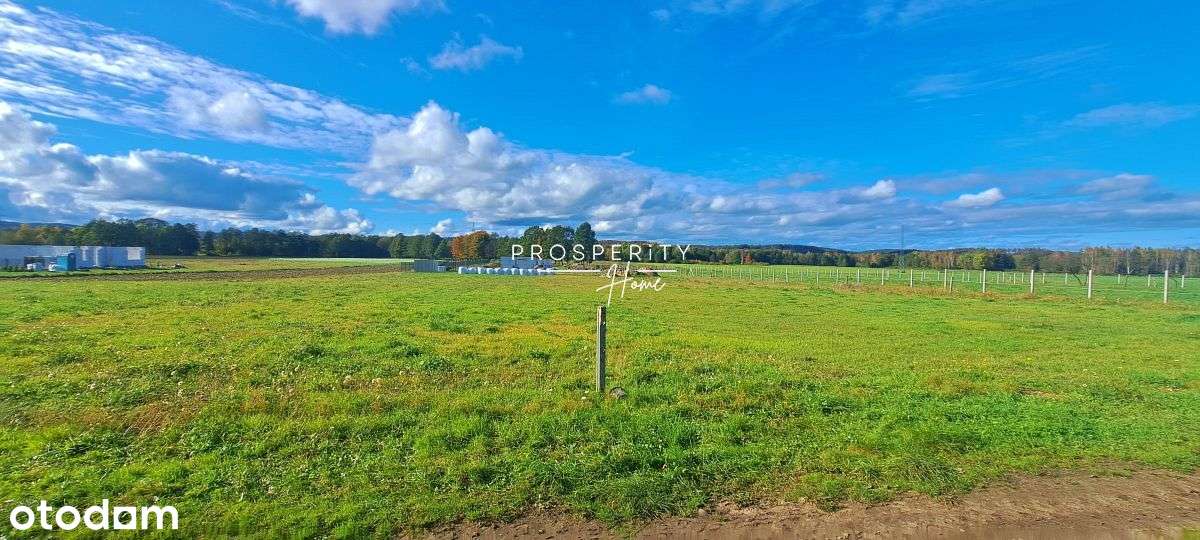 Działki budowlane w Zelewie-9