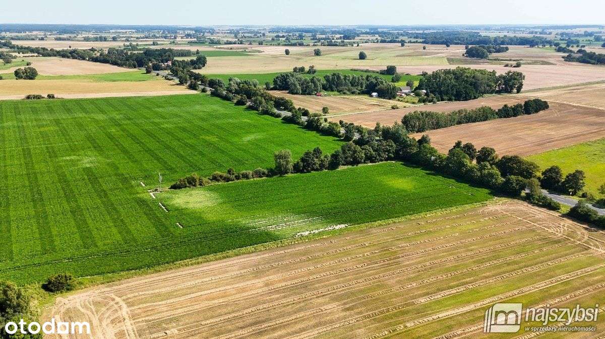 Będzin- Działka rolna na sprzedaż - Pełny obrazek: 5/20