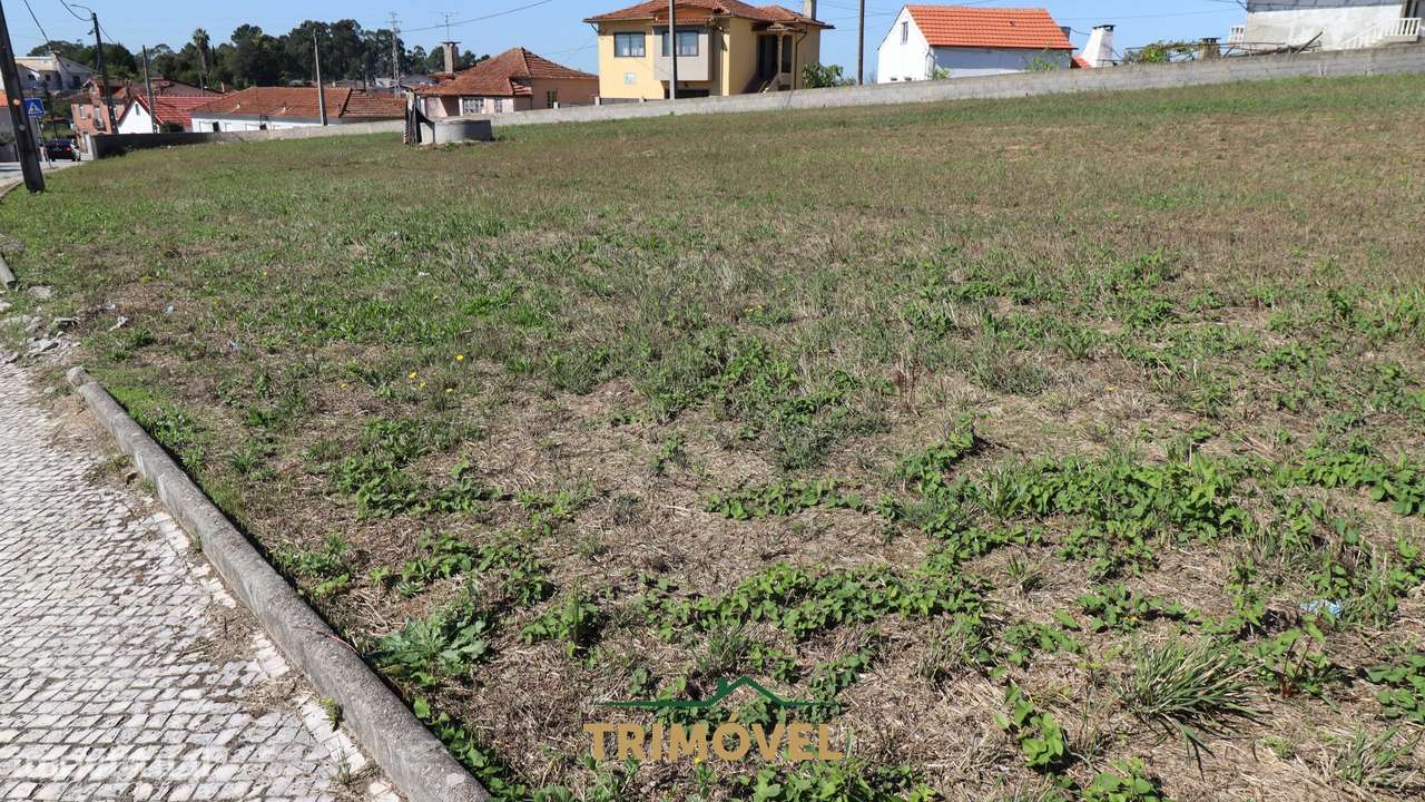 Terreno para Construção em Oliveira de Azeméis - Grande imagem: 5/9