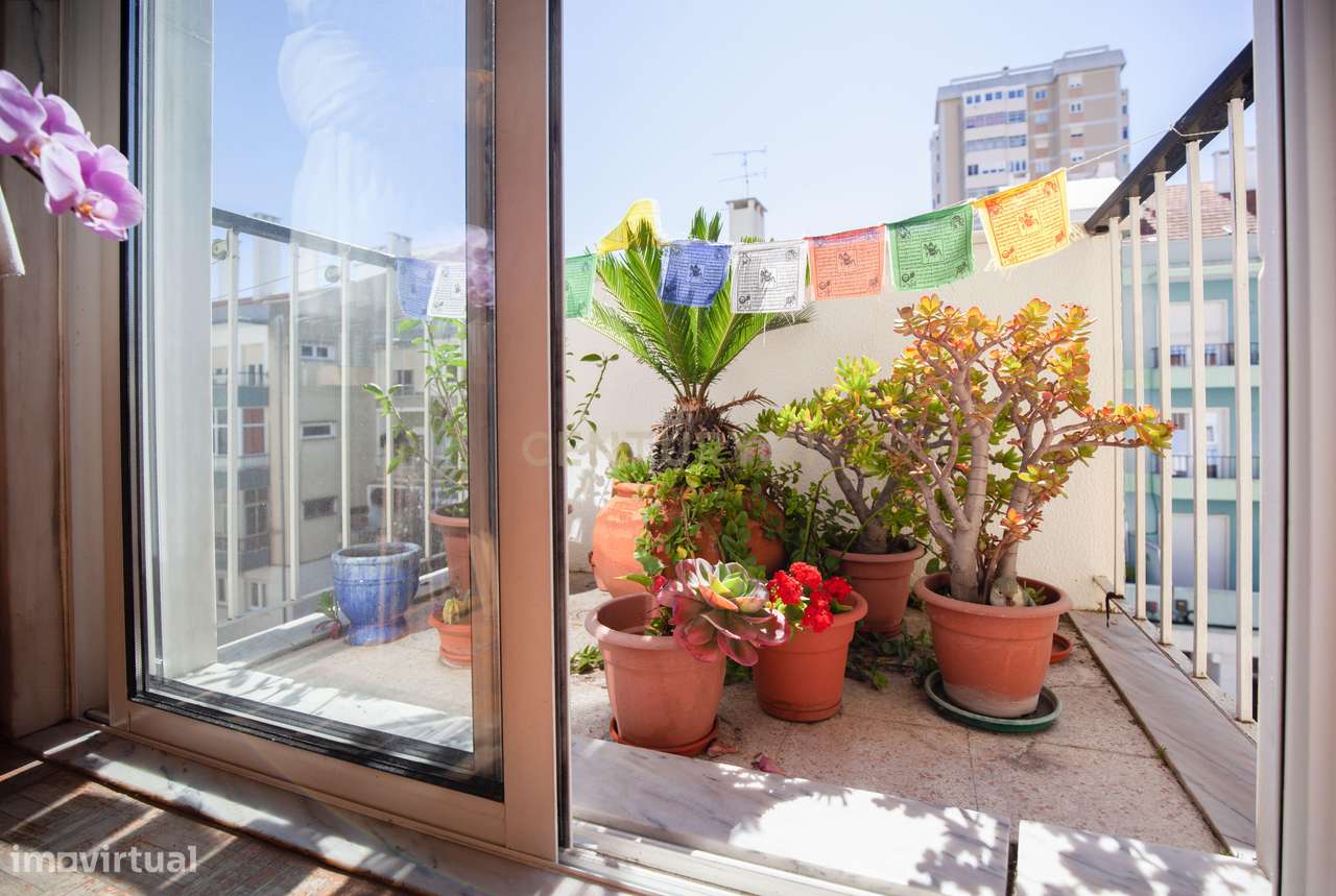 T3 com luz todo o dia - Estrada de Benfica - Grande imagem: 4/18