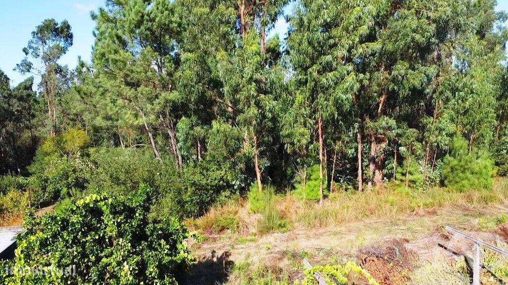 Terreno para construção em Forjães de 2351,00 m2 - Grande imagem: 5/7