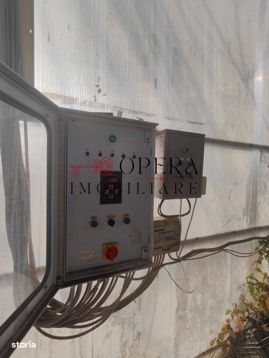 Teren intravilan 5000mp+Cladire265mp + Sera(2500mp), Rediu Aldei-Arone-1