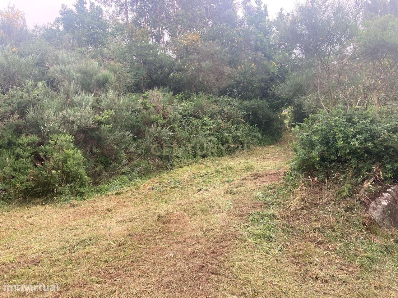 Terreno Rústico Excepcional em Oldrões, Penafiel – Um Mundo de Possibi - Grande imagem: 4/14