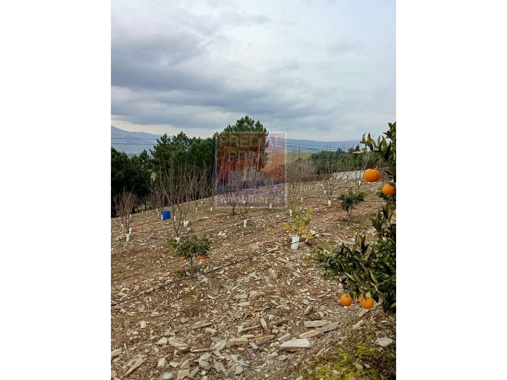 Andar moradia em Peso da Régua-7