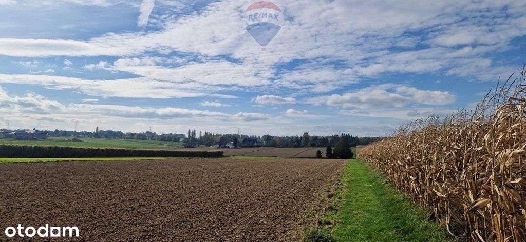 Działka pod zabudowę + rolna + rekreacja - Pełny obrazek: 4/7