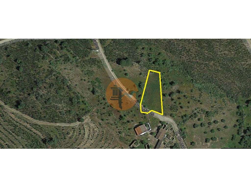 TERRENO RUSTICO - 1.960 M2 - MATOS - PEREIRO - ALCOUTIM - ALGARVE - Grande imagem: 3/9