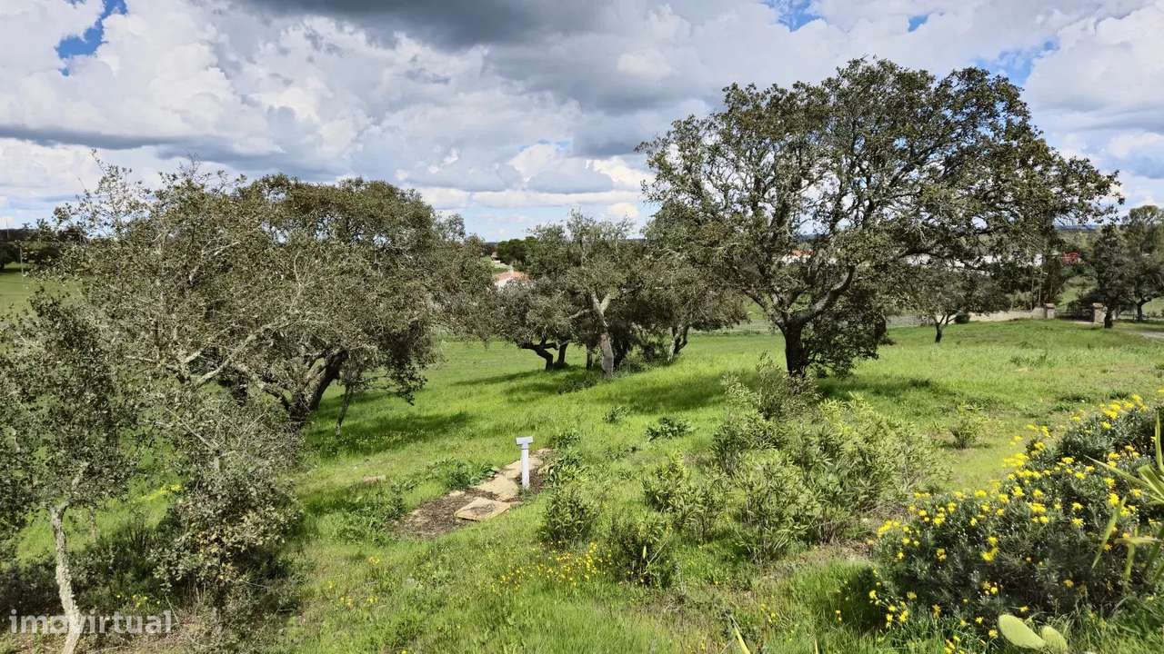 Casa senhorial privada com piscina em mais de 5 hectares.-48