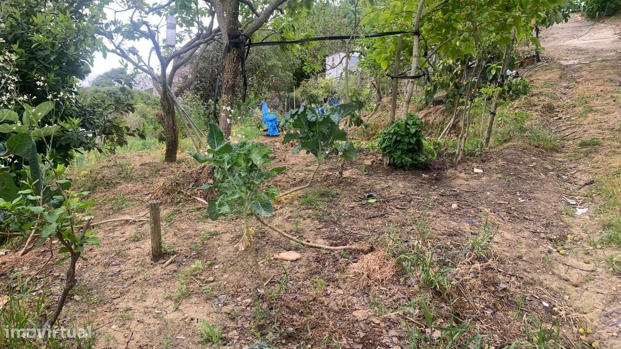 Terreno em São João dos Montes-9