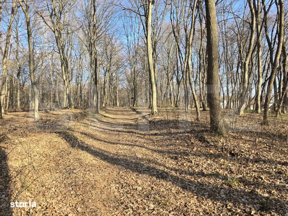 Teren cu sufrafata de 1100 mp in Padurea Faget - Imagine principală: 3/10