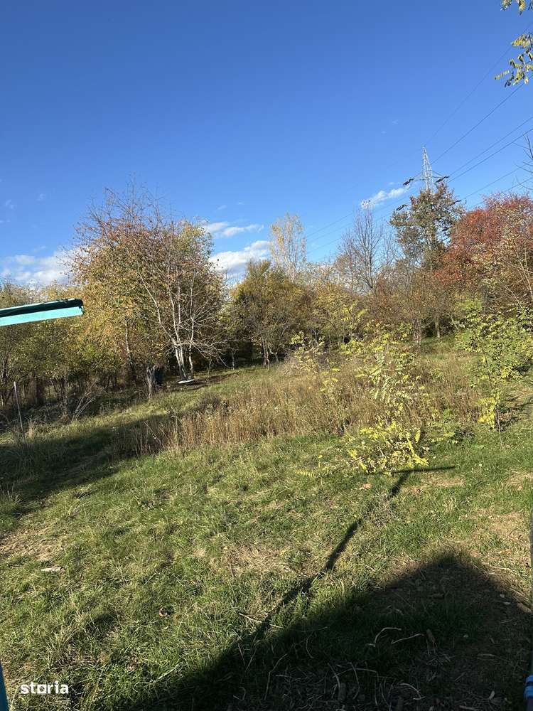 Campina - casă - teren 2506mp - 149900 Euro/Neg.-8