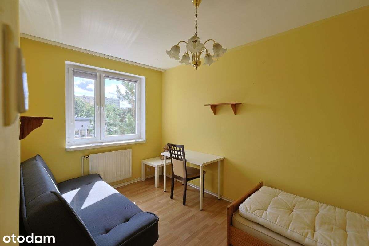 Mieszkanie 4-pokojowe, 63,6 m² - Piątkowo, os. Zyg - Pełny obrazek: 2/14