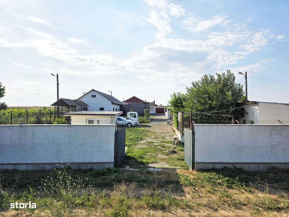 Ferma de vanzare – Oportunitate unica la doar 20 de minute de Consta - Imagine principală: 1/19