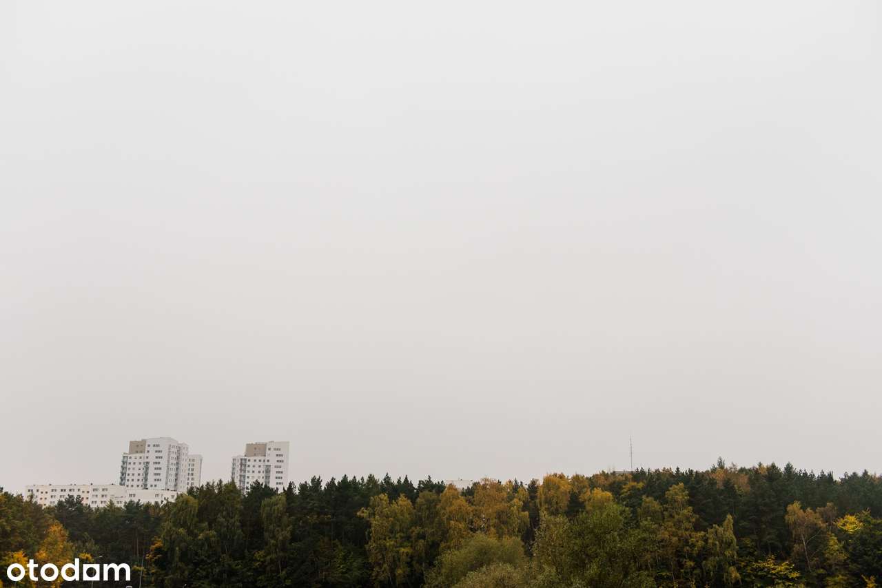 Dwupokojowe mieszkanie - Gdańsk, ul. F. Magellana - Pełny obrazek: 4/15