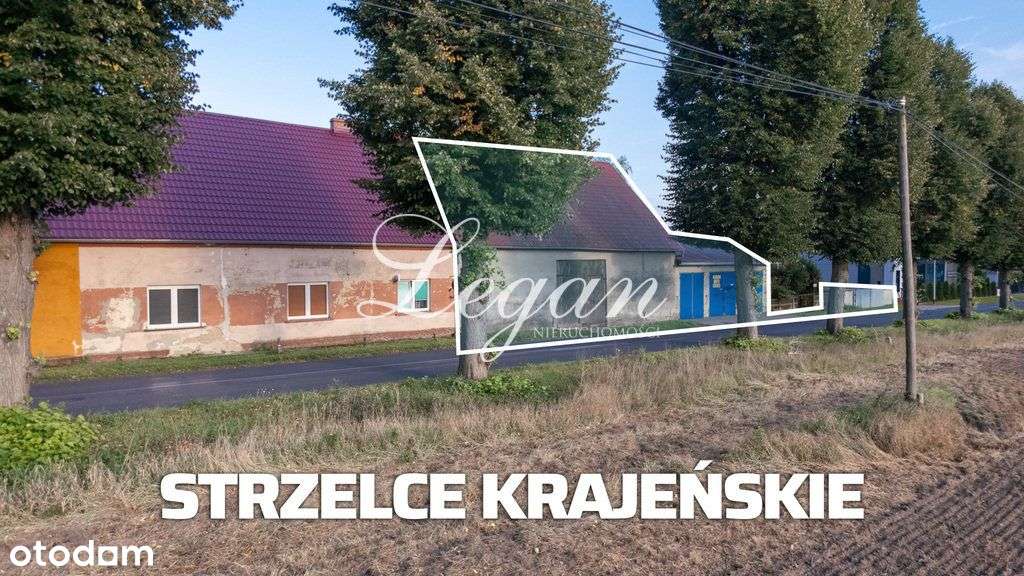 Hala z placem na sprzedaż – Strzelce Krajeńskie - Pełny obrazek: 5/20