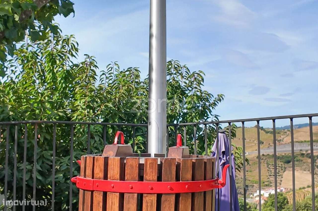 Turismo Rural no Douro com PIP aprovado Hotel + 4 Moradias - Grande imagem: 3/60