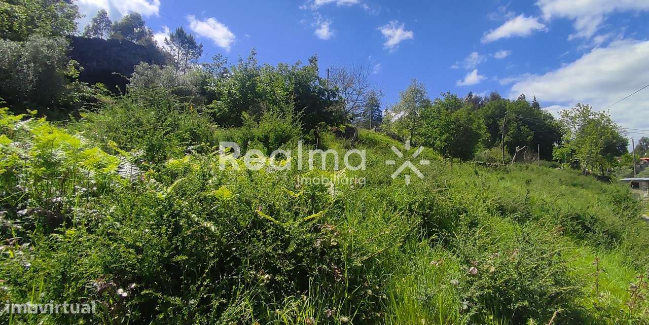 Terreno c/ Viabilidade Construtiva em Ruivães - Vieira do Minho-6