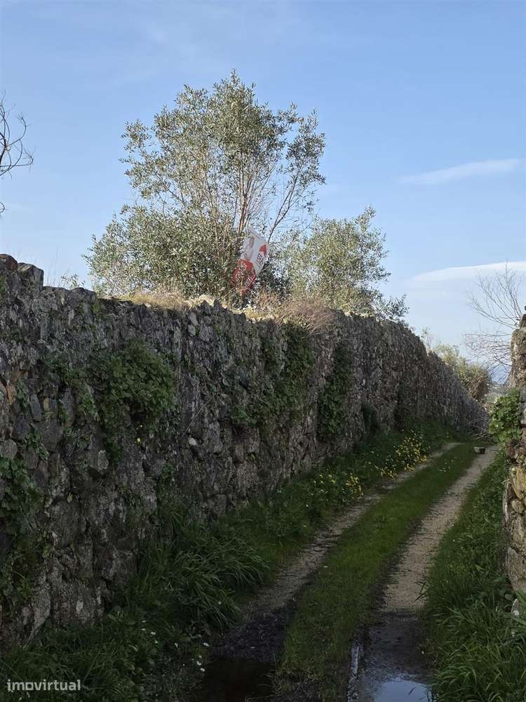 Terreno - Grande imagem: 4/7