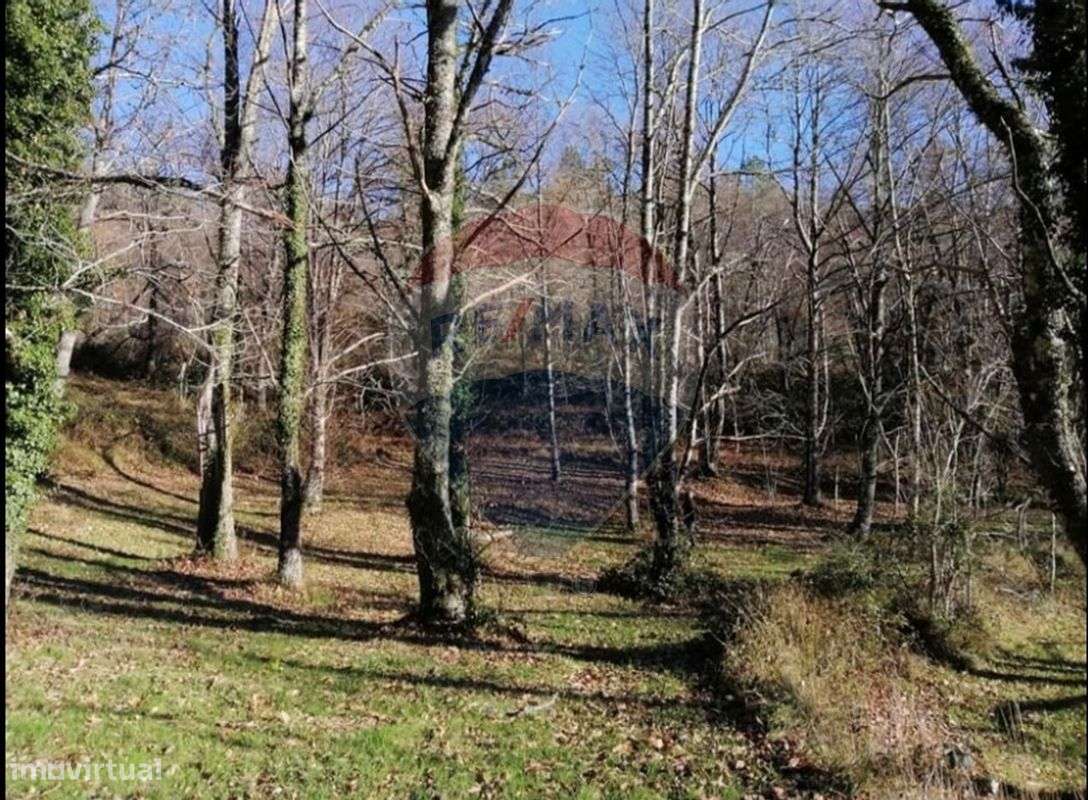 Terreno  para venda - Grande imagem: 3/9