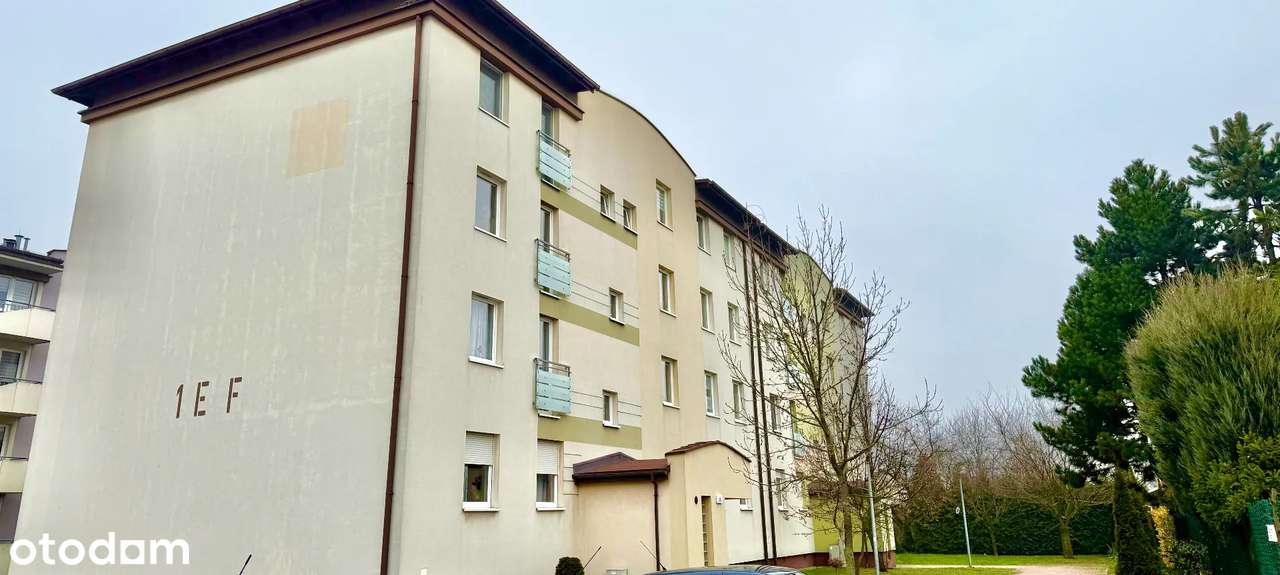 Unikatowa  oferta !-13