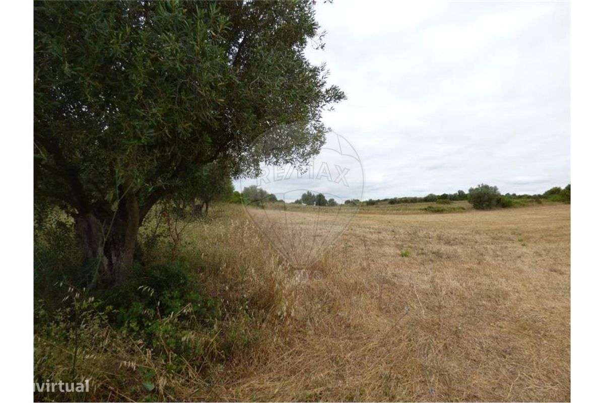 Terreno  para arrendamento - Grande imagem: 3/5