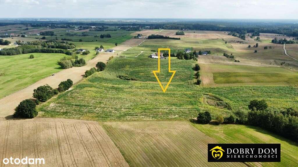 Duża Działka/Suwalszczyzna/Okazja! - Pełny obrazek: 5/9