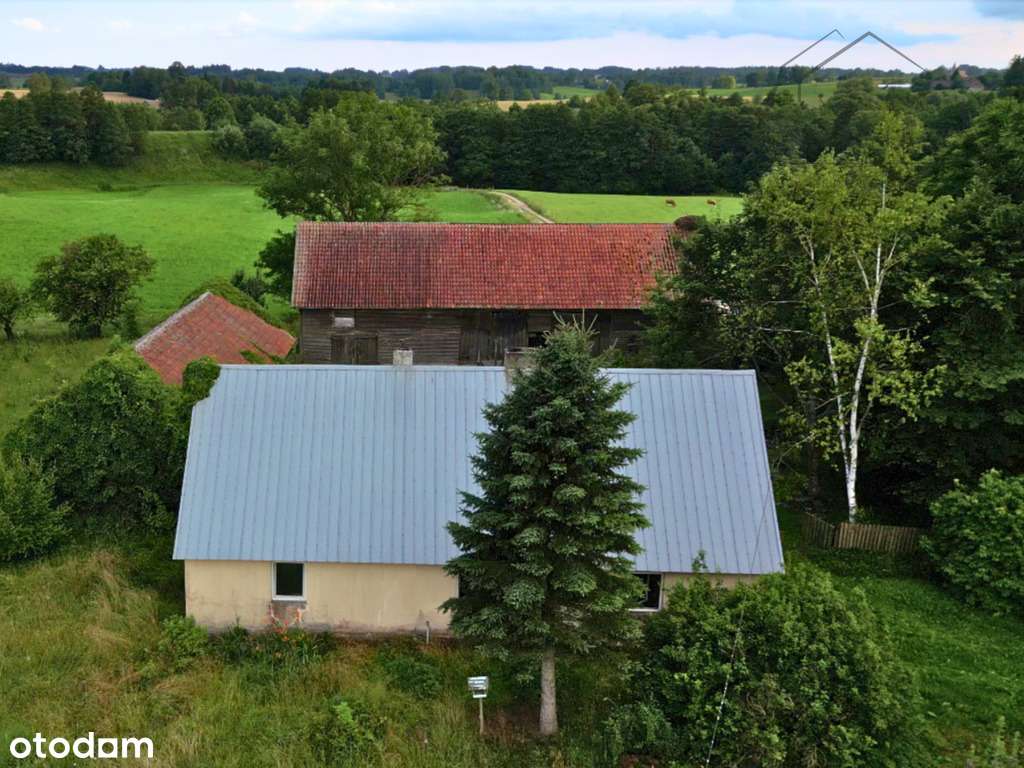 Siedlisko na Mazurach – 3 budynki, działka 6350 m² - Pełny obrazek: 5/15