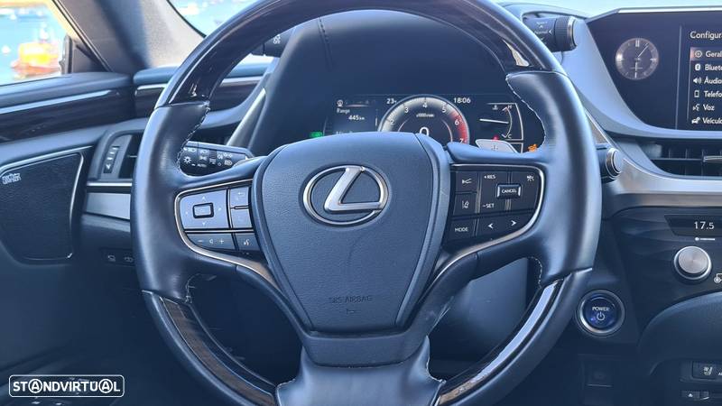 Lexus ES 300h Luxury - 14