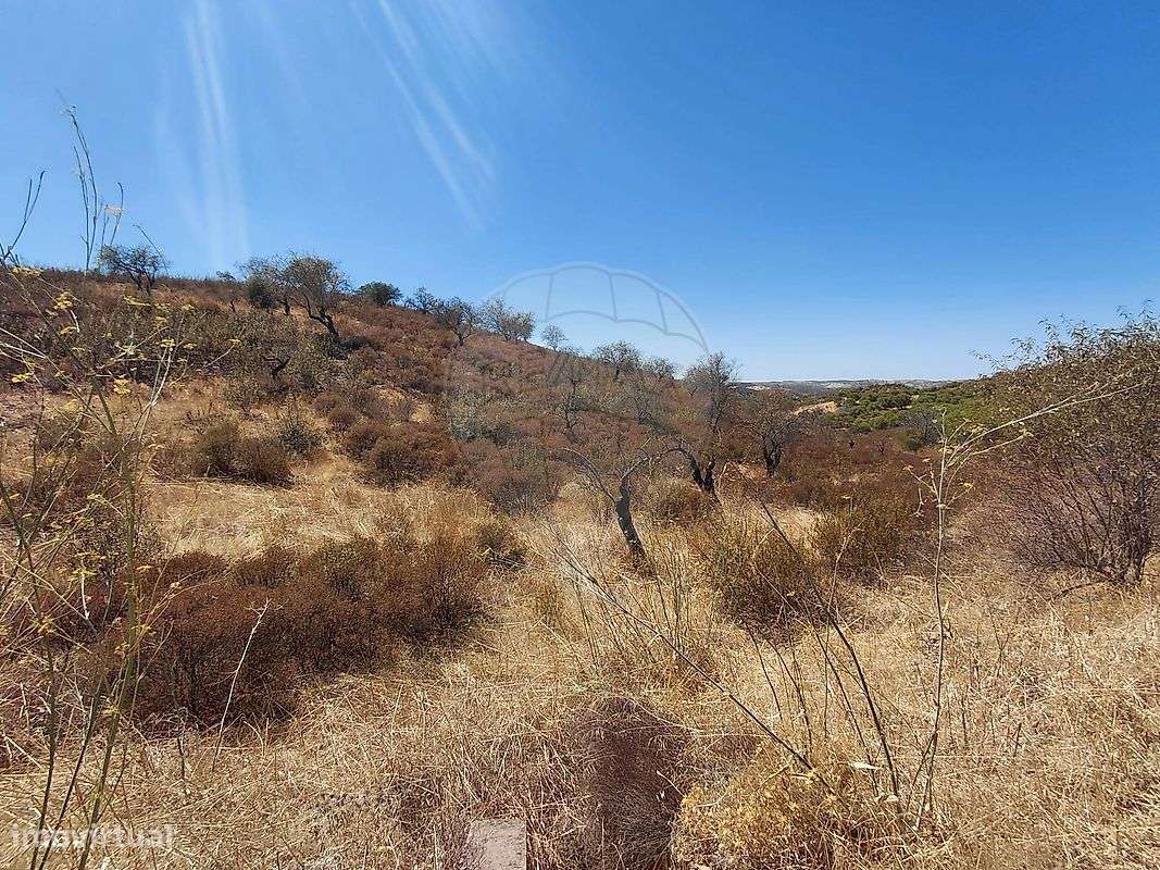 Terreno  para venda - Grande imagem: 4/5