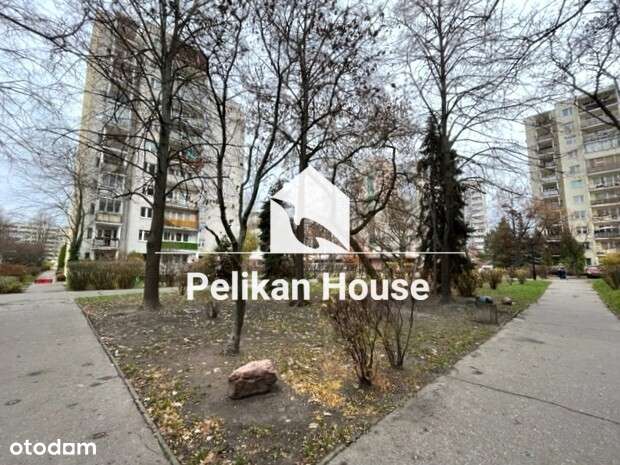 Dwa pokoje z oddzielna kuchnia metro Natolin-17