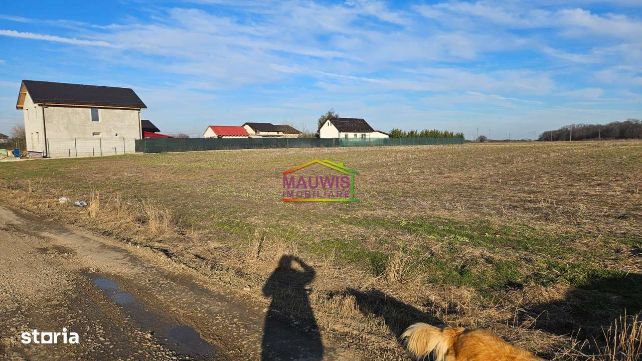 Vand teren intravilan in zona Magurele strada Stejarului-0
