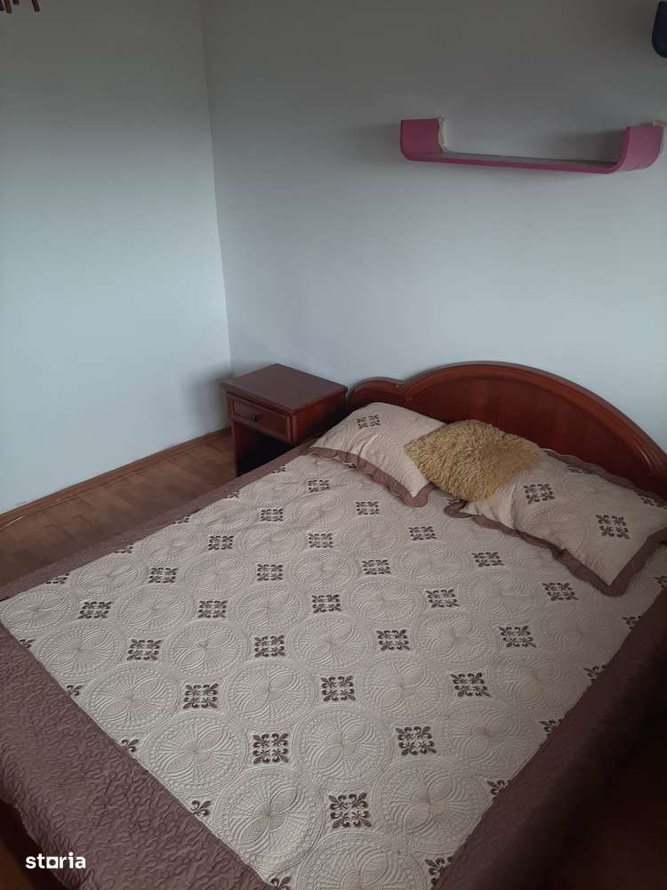 Muncii-Campia Libertatii stradal-5