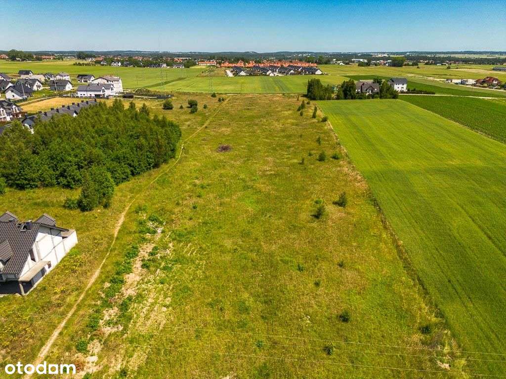 Działka inwestycyjna-Pępowo - Pełny obrazek: 4/9